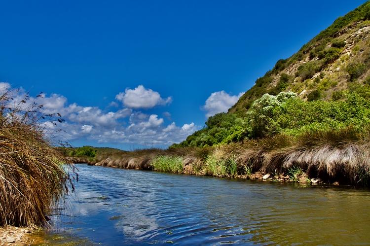 Estação da Biodiversidade da Boca do Rio